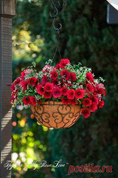 Чудесного доброго вечера!..