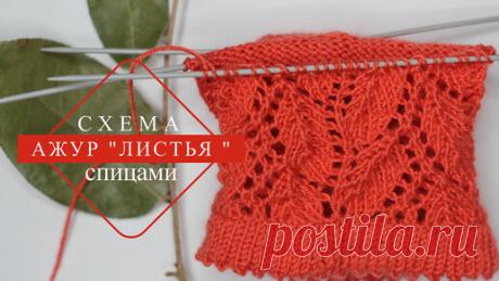 Статьи, новости и видео от популярных блогеров и СМИ | Будь в теме — будь в Дзене