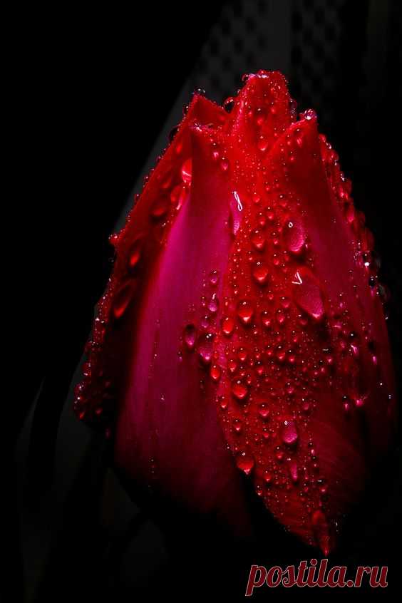 (21) Pinterest