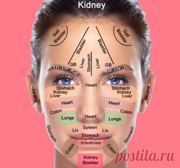 Психология морщин: О чём могут рассказать наши морщины?
Психология морщин: О чём могут рассказать наши морщины? Психология морщин: О чём могут рассказать наши морщины? Морщины на лице появляются не только как признаки старения организма. Они транслируют состояние наших внутренних органов и психологическое — тоже. Вот что означают морщины в разных зонах лица человека. Внутренние органы и части тела человека связаны определенным образом. Это […]
Читай пост далее на сайте. Жми ⏫ссылку выше
