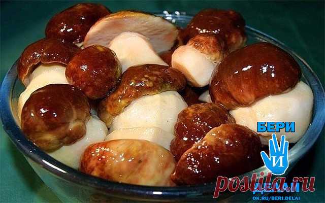 солим, варим, сушим, маринуем10 заготовок из ГРИБОВ!!!
