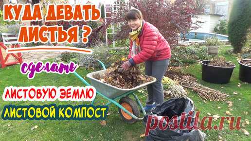 КОМПОСТ в мешках и ЛИСТОВАЯ земля! Опавшая листва в дело! Куда деть опавшую листву осенью? Делаем из такой опавшей листвы отличное удобрение: ЛИСТОВУЮ ЗЕМЛЮ (ПЕРЕГНОЙ) и ЛИСТОВОЙ КОМПОСТ в полиэтиленовых…