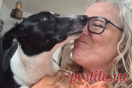 Собака прыгнула на хозяйку и помогла найти у нее тяжелую болезнь. В Великобритании домашняя собака прыгнула на лежавшую на диване хозяйку и помогла вовремя найти у нее тяжелую болезнь. 50-летняя Триша Эллисон из Ноттингема, графство Ноттингемшир, смотрела телевизор, когда ее питомица по кличке Луна внезапно запрыгнула диван. Собака стала обнюхивать и тыкаться носом в ее правую грудь.