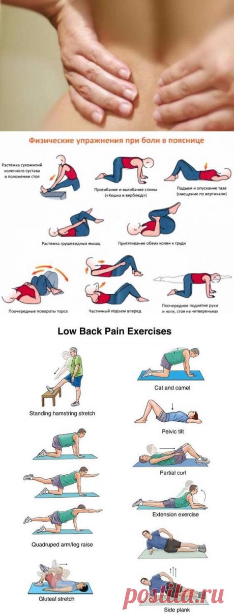 Избавляемся от боли в нижней части спины: 8 простых упражнений