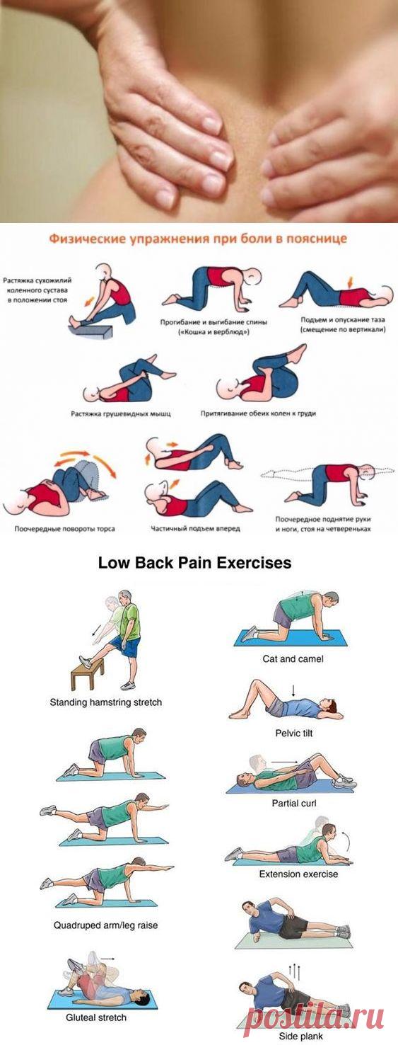 Избавляемся от боли в нижней части спины: 8 простых упражнений