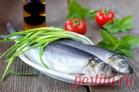День селёдки. Полезные советы по выбору, хранению и очистке рыбы | Продукты и напитки | Кухня | Аргументы и Факты