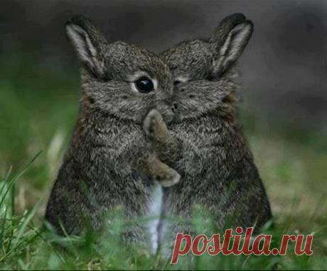 Обнимашки-целовашки 😇