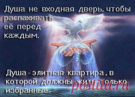 Интересные новости