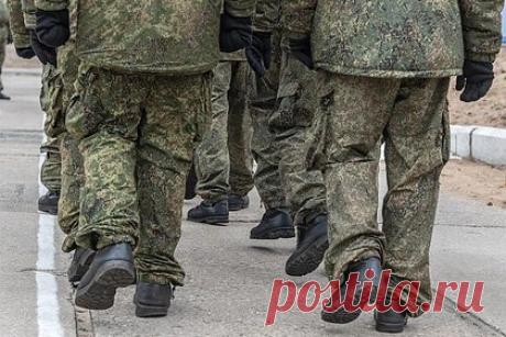 ФАС проверит цены на военное снаряжение на Ozon и Wildberries. Федеральная антимонопольная служба России направила запросы крупнейшим маркетплейсам по поводу цен на армейскую экипировку. В частности, информация о стоимости военного снаряжения и иных товаров армейского назначения была запрошена у площадок «Яндекс», Ozon и Wildberries.