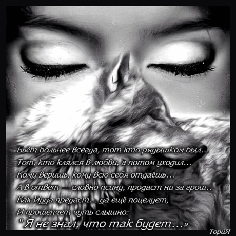 h-940.jpg (568×568)