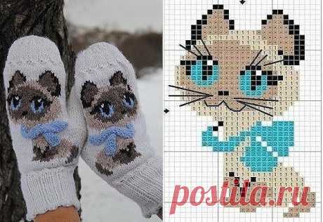 (17) Одноклассники