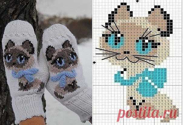 (17) Одноклассники