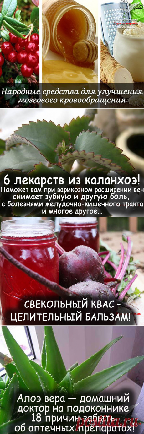 (1) Одноклассники