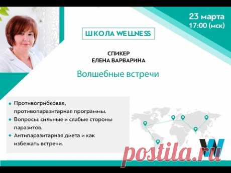Школа WebWellness. Тема: Волшебные встречи.