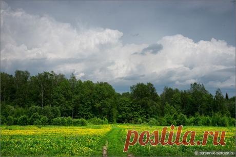 В гостях у Александра Блока