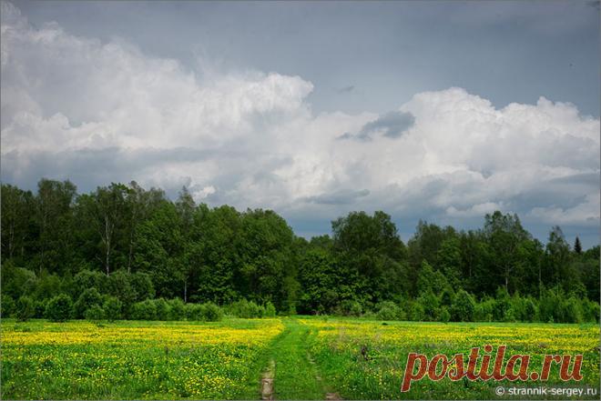 В гостях у Александра Блока