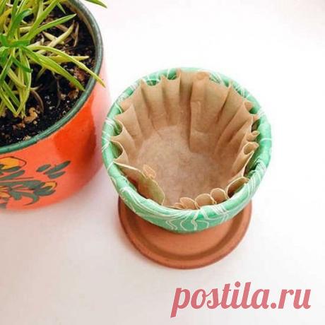 Садовые хитрости