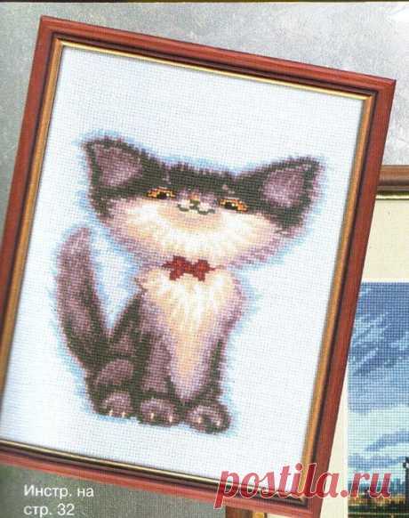 Кот - франт.