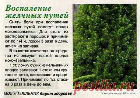 Воспаление желчных путей
