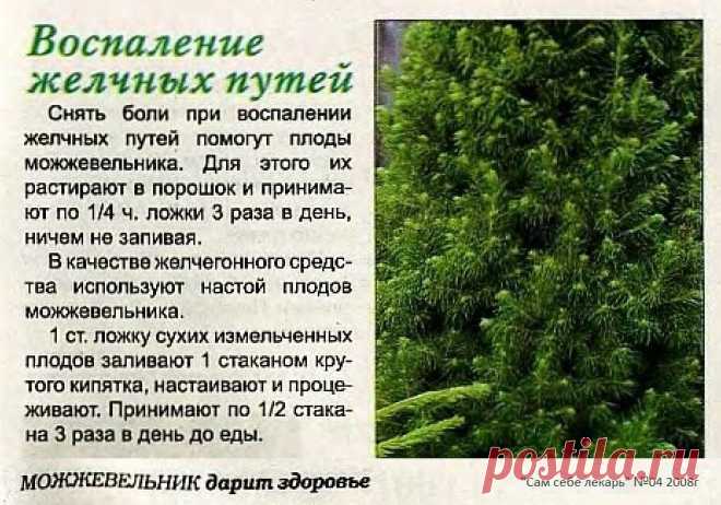 Воспаление желчных путей