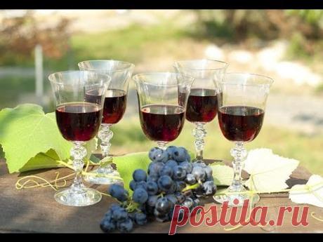 Домашнее виноградное вино