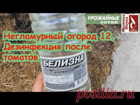 Негламурный огород-12. Обработка участка после томата, перца и баклажана: как это сделать правильно.