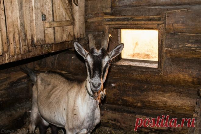 Подружки Фрэнка: matilda_i_ja