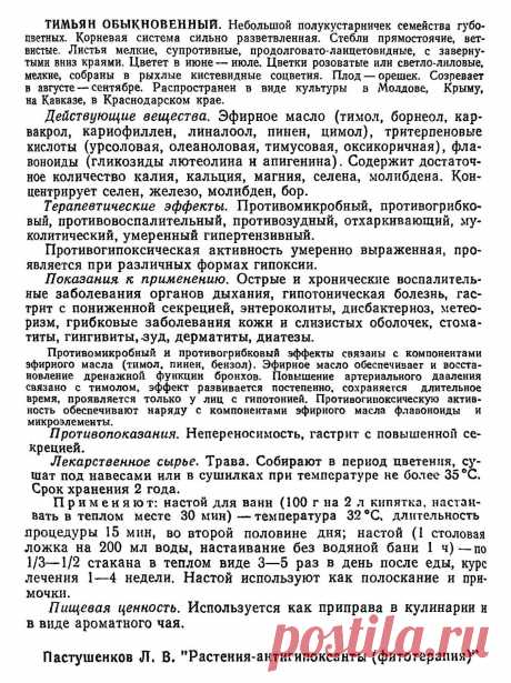 Тимьян обыкновенный