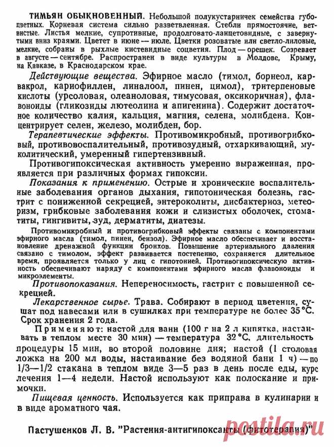Тимьян обыкновенный