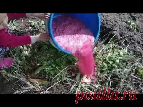 Зажигалка для компостной ямы