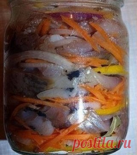 Селедка по-голландски