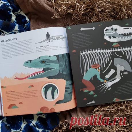 Мегалания получает первый приз как крупнейшая наземная ящерица всех времен. Длина ее тела огромна — целых 7 метров. Она была в два раза больше, чем нынешний комодский варан!