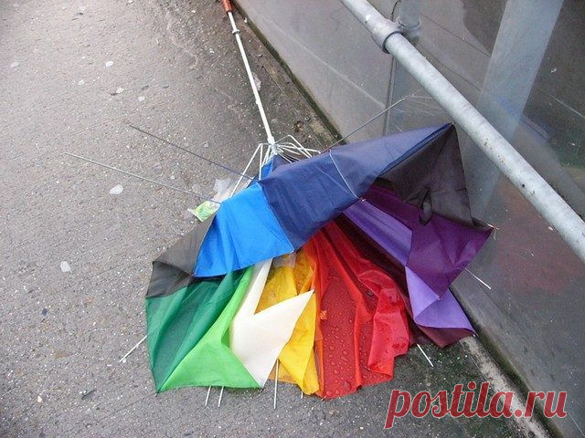 Дарим вторую жизнь: что можно сделать из старых зонтов? / Домоседы