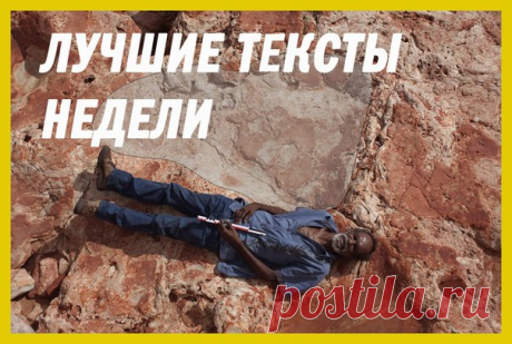 Лучшие материалы недели — в нашей воскресной подборке: 1. Циклон в Австралии выбросил на сушу акулу: 2. Рекордно гигантский след динозавра найден в Австралии: 3. Стюардесса заменила пилота и помогла посадить самолет: 4. Раненая акула попросила дайвера о помощи: 5. Люди вытащили из грязевой ямы целое стадо слонов: