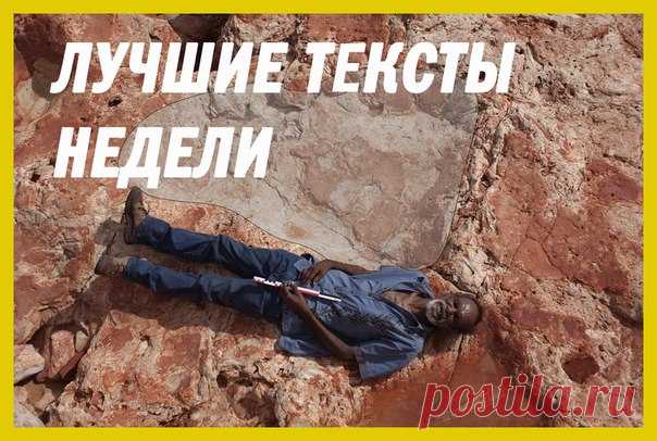 Лучшие материалы недели — в нашей воскресной подборке: 1. Циклон в Австралии выбросил на сушу акулу: 2. Рекордно гигантский след динозавра найден в Австралии: 3. Стюардесса заменила пилота и помогла посадить самолет: 4. Раненая акула попросила дайвера о помощи: 5. Люди вытащили из грязевой ямы целое стадо слонов: