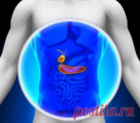 «Точка Чингисхана»: вот как отрегулировать отток желчи в организме