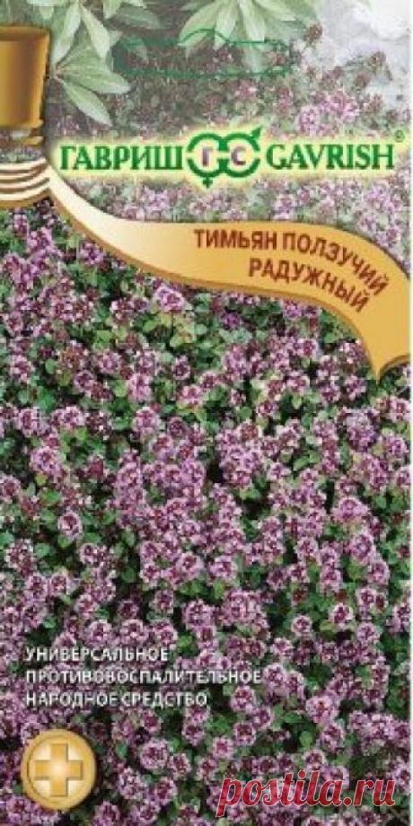 Семена. Тимьян ползучий (чабрец) "Радужный" (вес: 0,05 г) Всхожесть: 92%.
Многолетнее пряное и лекарственное растение. Содержит эфирное масло, минеральные соли (Mg, K, Ca), аскорбиновую кислоту, флавоноиды. Вегетационный период от полных всходов до последнего сбора 150 дней. Имеет стелющиеся цветущие, хорошо облиственные побеги. Листья мелкие...