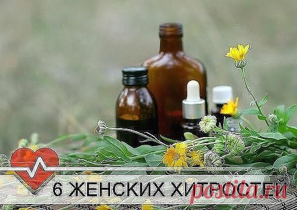 (49) Одноклассники