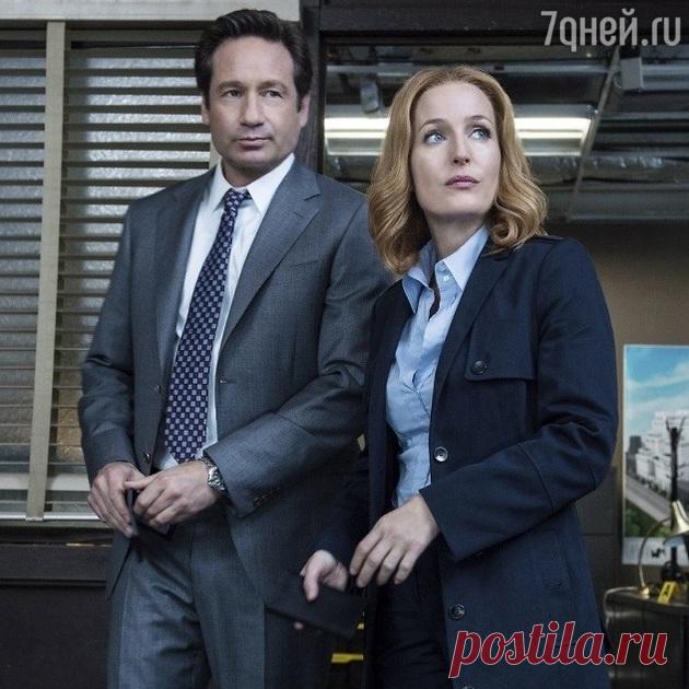 Звездные пары, ставшие врагами на всю жизнь - 7Дней.ру