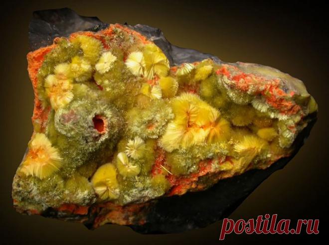 Камни и минералы, опасные для жизни — Наука и жизнь