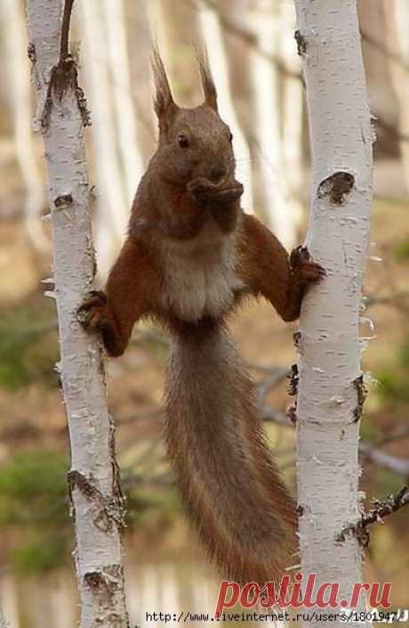 (162) Pinterest