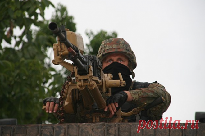 Комбат «Азова» убил своего солдата за отказ идти в бой. Инцидент случился в районе Серебрянского лесничества.