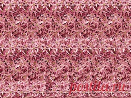 Стереокартинки (продолжение 9). / Фотошоп и я.