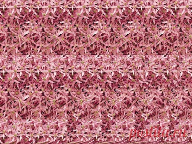 Стереокартинки (продолжение 9). / Фотошоп и я.