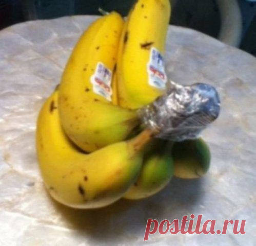 15 секретов сохранения продуктов / Все для женщины
