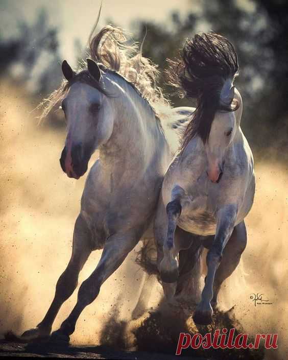 (29) Pinterest