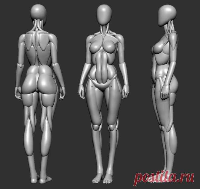 3D модель. Женская фигура. Мышечный объём.