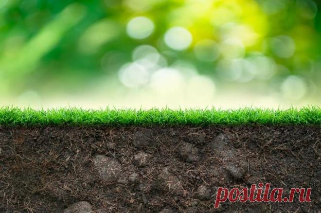 Кто является плательщиками земельного налога Земельный сбор является обязательным налогом, уплачиваемым всеми владельцами участков земли. Регулярно в налоговое законодательство вносятся многочисленные изменения, поэтому увеличиваются налоговые с...