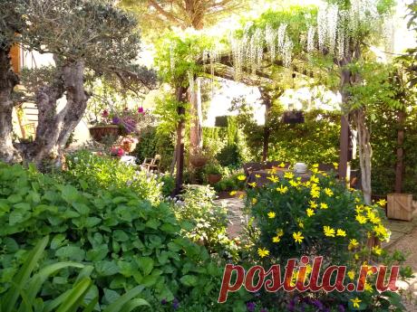 JARDÍN
