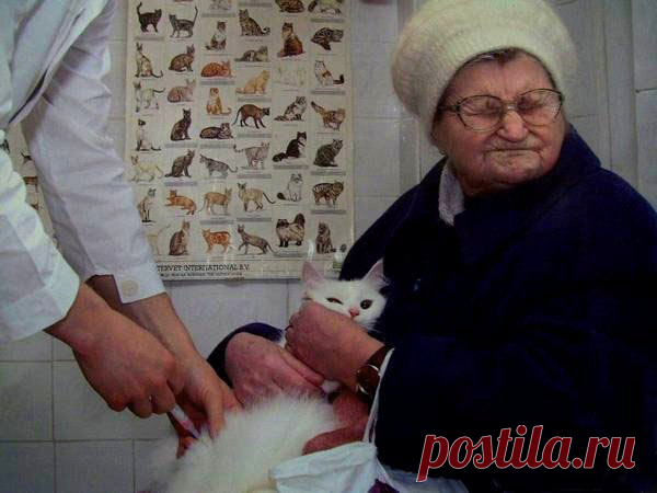 Сильное фото.